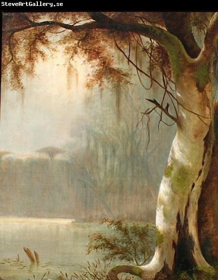 Joseph Rusling Meeker Lake Maurepas Bayou